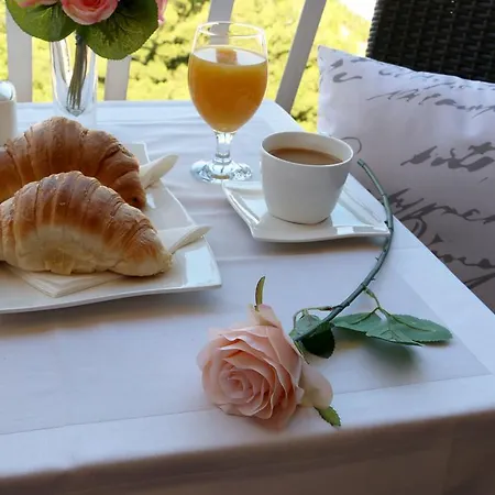 Blue Rose トロギール